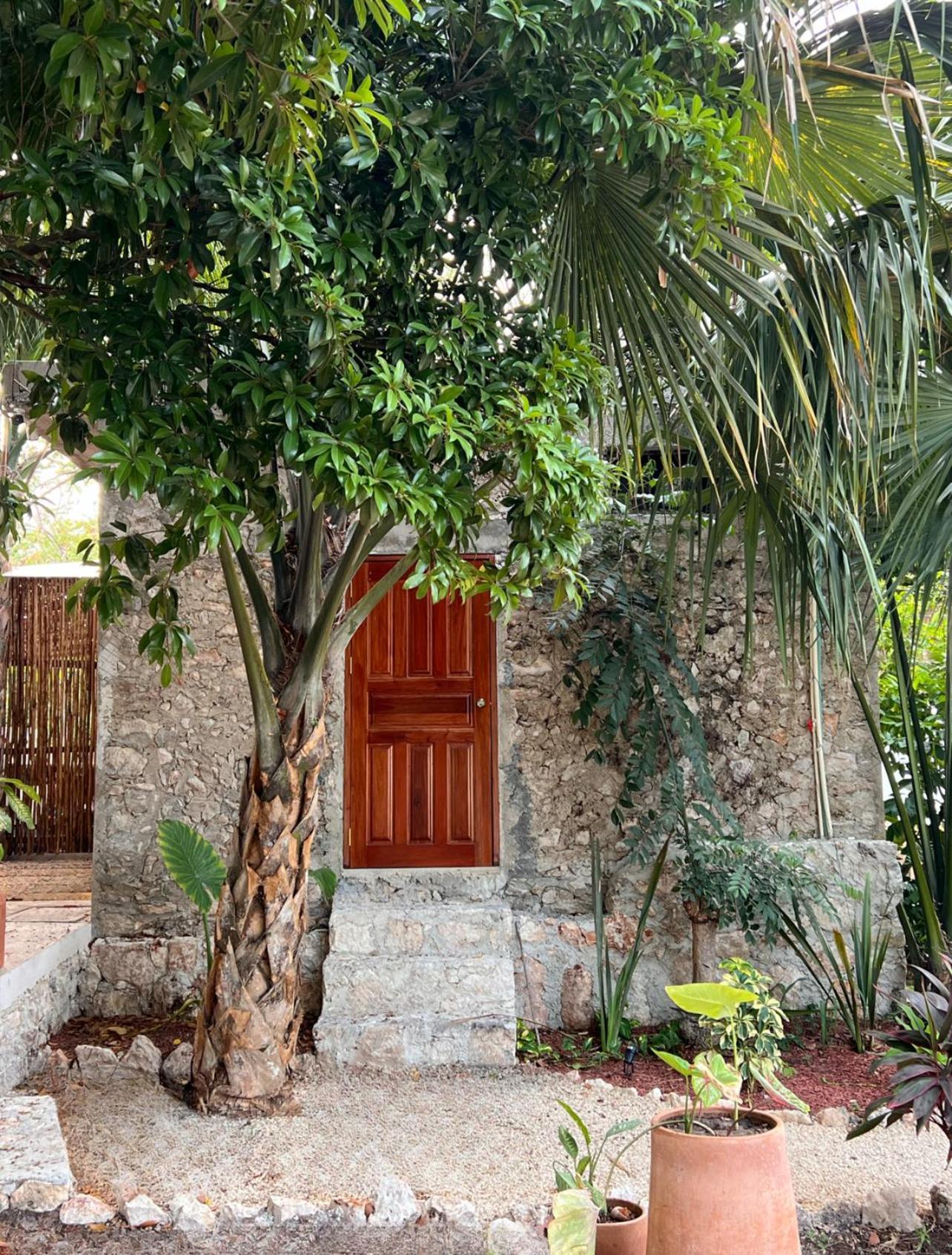 Hotel Shamalay - Nomad Experience Bacalar Zewnętrze zdjęcie